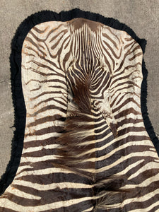 Authentic Namibian Hartmann's Mountain Zebra Hide Rug 74" x 116"