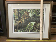 Robert Bateman Signed "Lepoard In A Sausage Tree" Limited Edition Lithograph