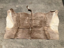 Natural South African Blesbok Hide Back Skin 38" x 57"