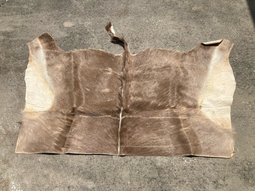 Natural South African Blesbok Hide Back Skin 38
