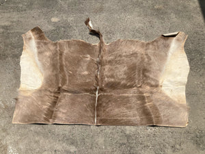 Natural South African Blesbok Hide Back Skin 38" x 57"