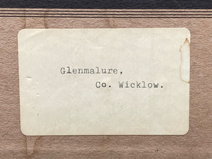 Glenmalure County Wicklow Oil Painting, H. Foley Signed