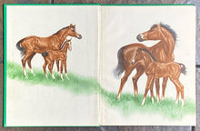 The Little Fellow | Marguerite Henry w/ Illustrations by Diane Thorne (1945, The John C. Winston Company)