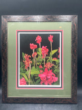 Linda Amundsen Signed "Canna Blossoms II" Framed Print