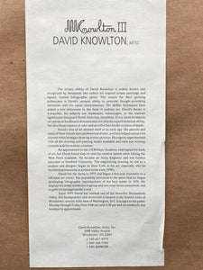 David Knowlton Signed "Misty Grove" Limited Edition Art Print, Framed