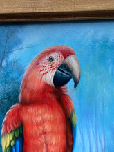 T.May Signed Original Tropical Landscape Parrots Oil Painting