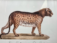 Karl Joseph Brdotmann Panther Framed Reproduction Art Print