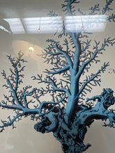 Coral Print in Glass