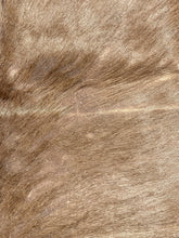 Natural South African Blesbok Hide Back Skin 38" x 57"