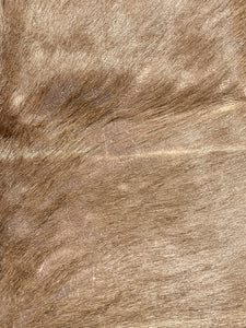 Natural South African Blesbok Hide Back Skin 38" x 57"