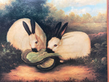 P.Rolence "Himalayan Rabbits" Framed Canvas Art Print 26x29"