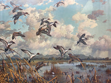 Vintage Harry C. Adamson Signed Limited Edition Mallard Duck Framed Print