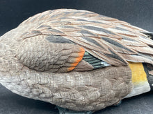 Cedar Key Second Nature Pintail Duck Figure Display