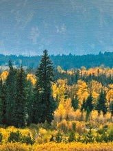 Signed Limited Edition Thomas Mangelsen "October's Gold - Grand Tetons" Print