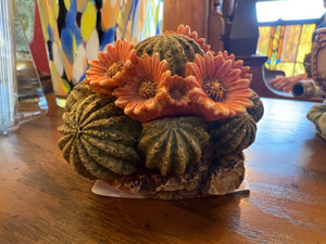 Harmony Kingdom Cactus Box