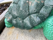 Concrete tortoise