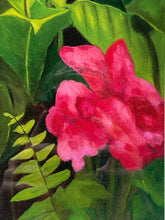 Linda Amundsen Signed Limited Edition "Canna Blossoms I" Print