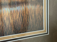 Signed limited edition framed print "Egret Gathering" by Michael Story