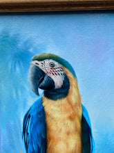 T.May Signed Original Tropical Landscape Parrots Oil Painting