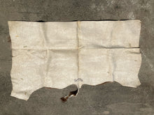 Natural South African Blesbok Hide Back Skin 38" x 57"