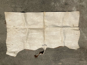 Natural South African Blesbok Hide Back Skin 38" x 57"