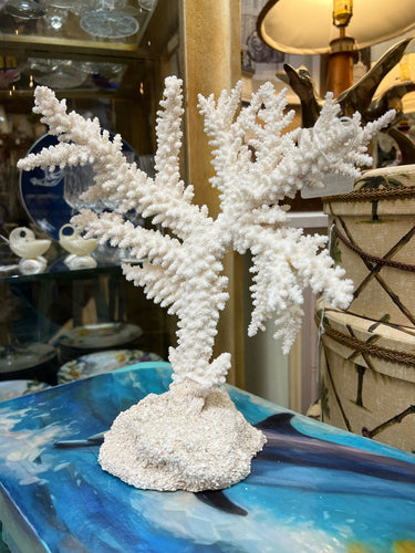 Real Branch Coral on Base