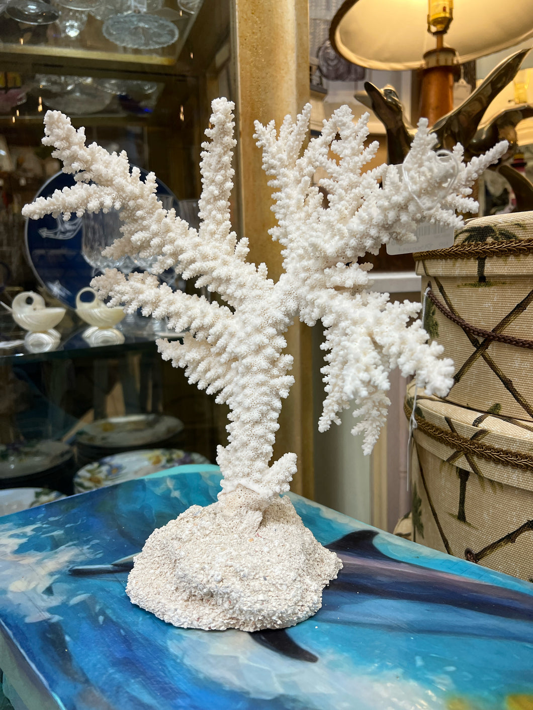 Real Branch Coral on Base