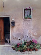 Nancy Ross-Ruddick Signed "Visiting #4 Montepulciano Italy" Photograph