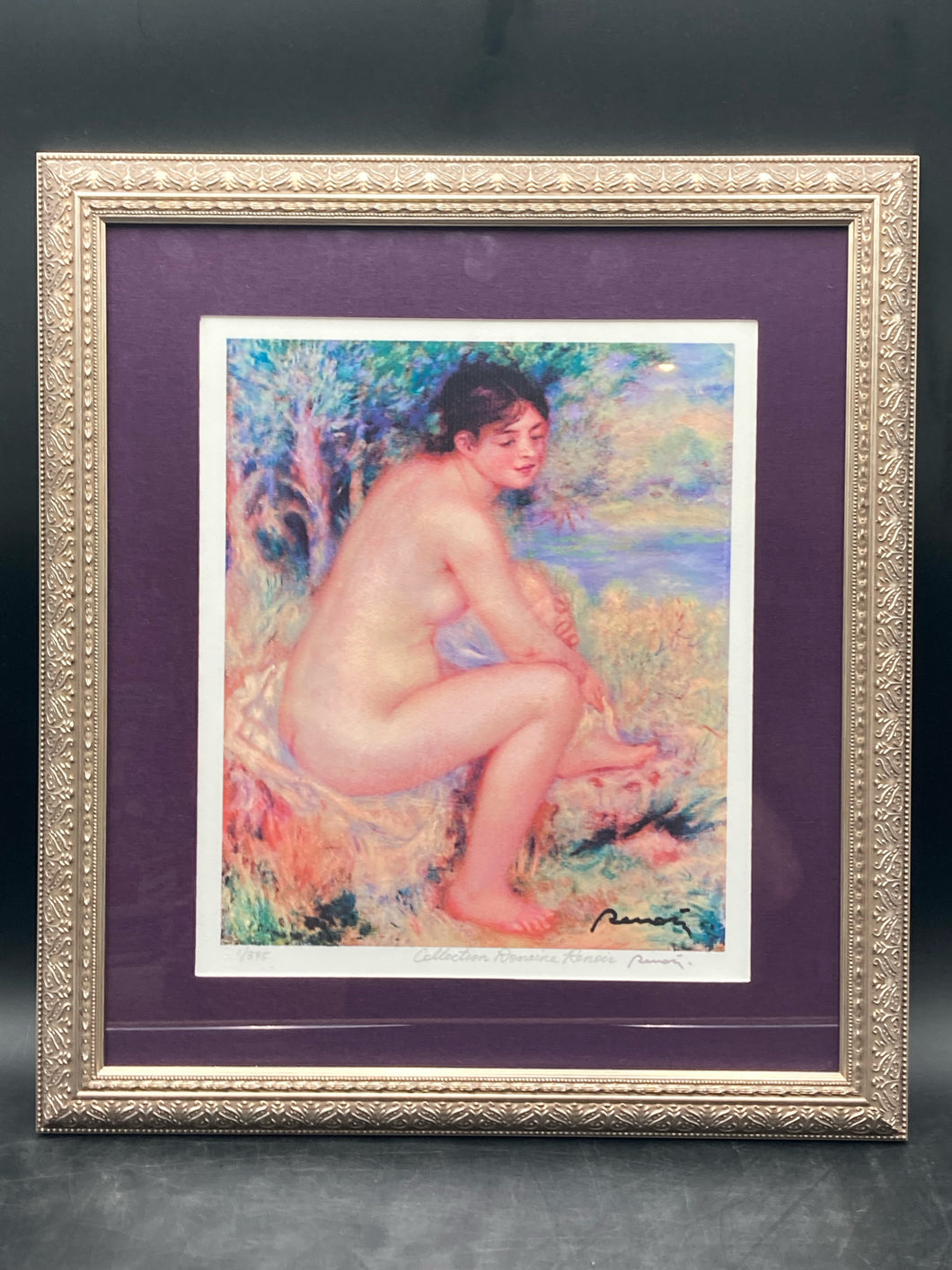 Collection Domaie Renoir 