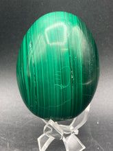479 Gram South African Malachite Egg