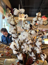 Cottonballs in Vase
