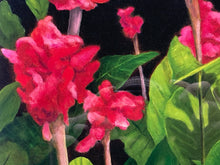 Linda Amundsen Signed Limited Edition "Canna Blossoms I" Print