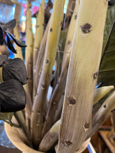 Faux Cactus in white Vase