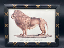 Karl Joseph Brodtmann Barbary Lion Framed Reproduction Print