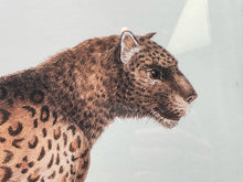 Karl Joseph Brdotmann Panther Framed Reproduction Art Print