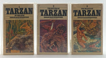 Tarzan 24-Volume Set | Edgar Rice Burroughs (1975, Ballantine Books Authorized Edition)
