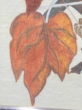Vintage K.M. Foster Signed Autumn Season Birds Painting - view 6