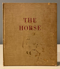 The Horse: His Gaits, Points, and Conformation | Paul Brown (1943, Charles Scribners Sons)