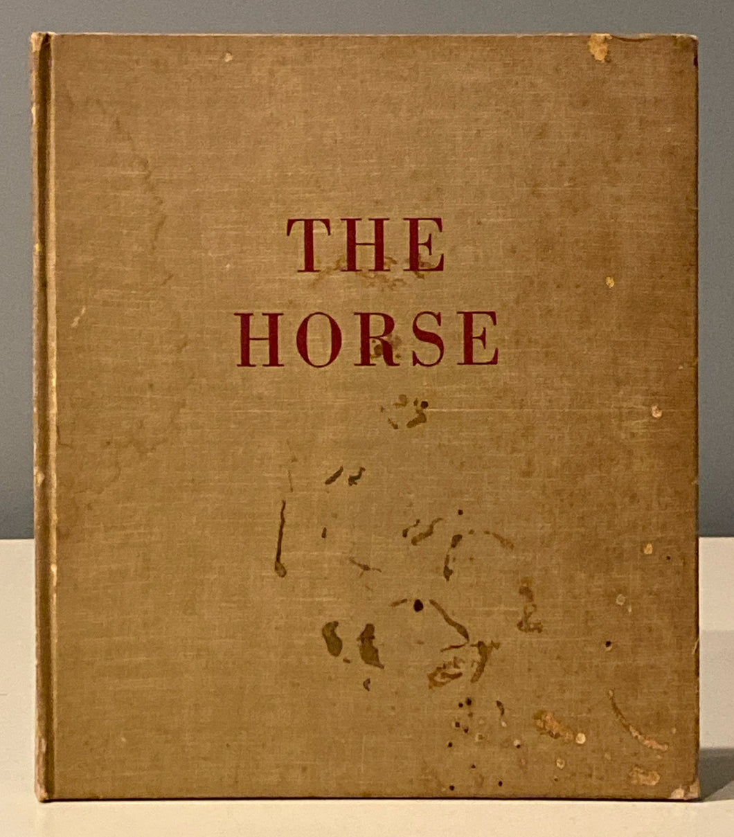The Horse: His Gaits, Points, and Conformation | Paul Brown (1943, Charles Scribners Sons)