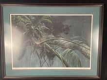 Robert Bateman "Shadow Of The Rainforest" Print