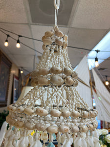 Hanging Shell Plant holder