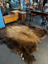 Navajo Buffalo Hide Wall Hanging
