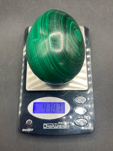 479 Gram South African Malachite Egg