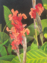 Linda Amundsen Signed "Canna Blossoms II" Framed Print