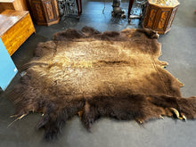 Navajo Buffalo Hide Wall Hanging