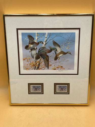 Framed 1986 Vermont Duck Stamps & Print By Jim Killen