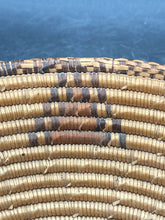 Vintage Apache Native American 10" Sunflower Coil Basket - view 4