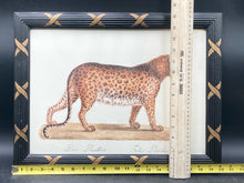 Karl Joseph Brdotmann Panther Framed Reproduction Art Print