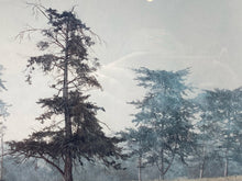 David Knowlton Signed "Misty Grove" Limited Edition Art Print, Framed