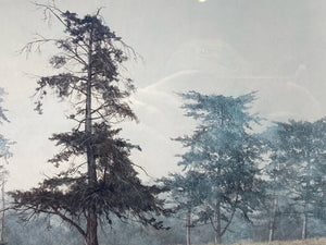David Knowlton Signed "Misty Grove" Limited Edition Art Print, Framed